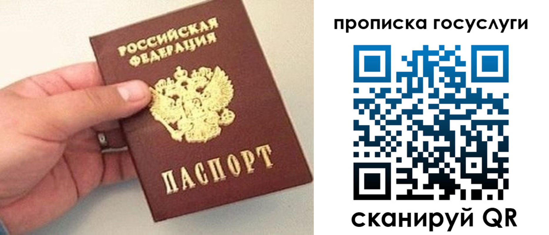 где прописаться в Острогожске
